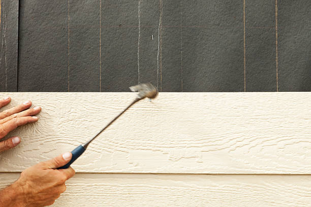 Best Vinyl Siding Installation  in Monte Vista, CO